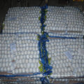 New Crop Chinese Garlic Pure White in Small Bag